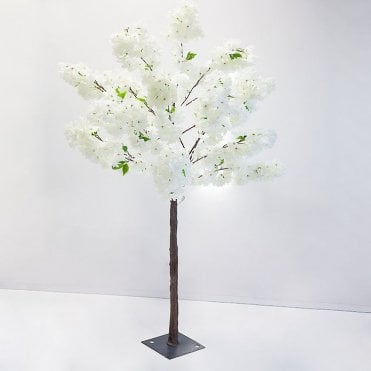 Blossom Tree - Cream