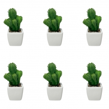 Cactus Plant With Flower Pot Pack of 6 HM85905