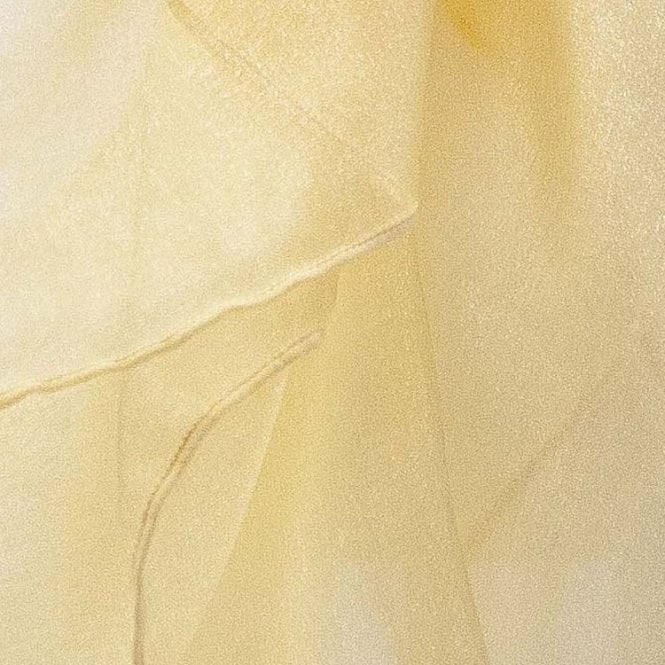 Organza Fabric Gold