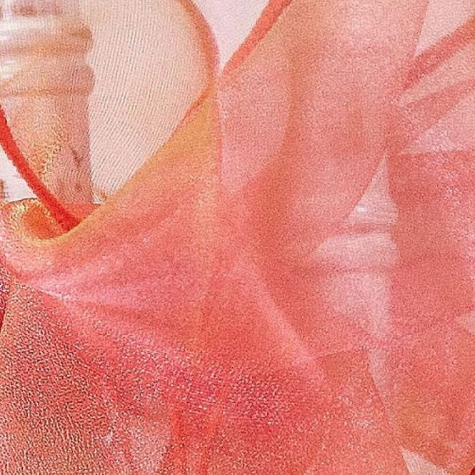 Organza Fabric Yellow/Red