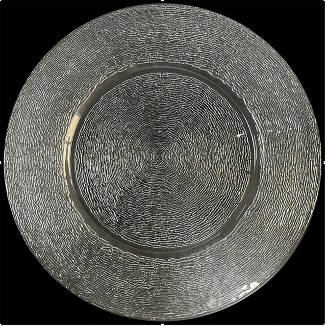 Clear Glass Aura Charger Plate 0358