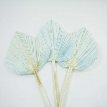 Dried Palm Leaf Tiffany Blue Pack of 12 65cm