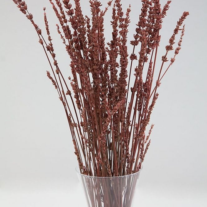 Dried Reed Bunch Frag Rust - Event Decor & Charger Plates from Chair ...