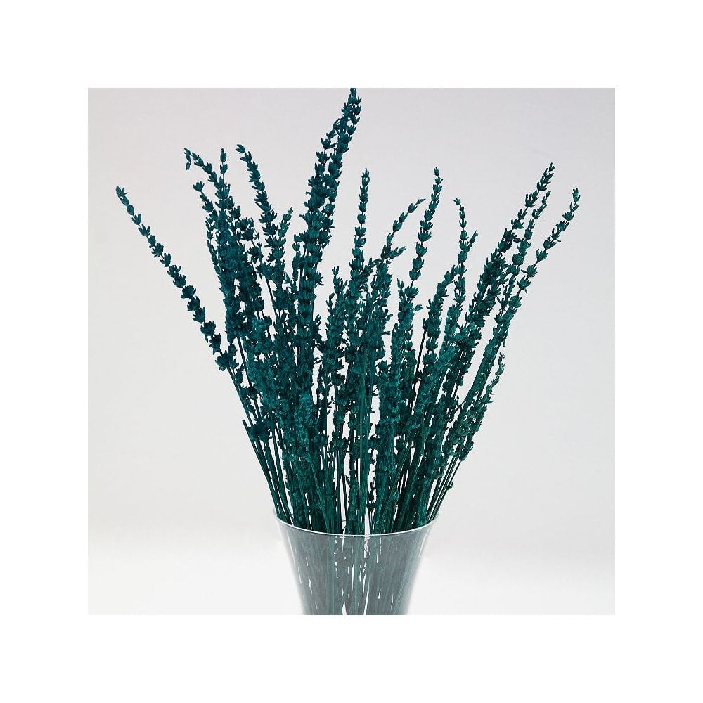 Teal Reed Dried Reed Bunch Frag Teal 75cm | Enchanting Decorative Greenery