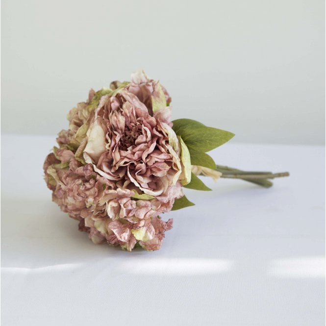 Dried Touch Open Peony Dusty Pink