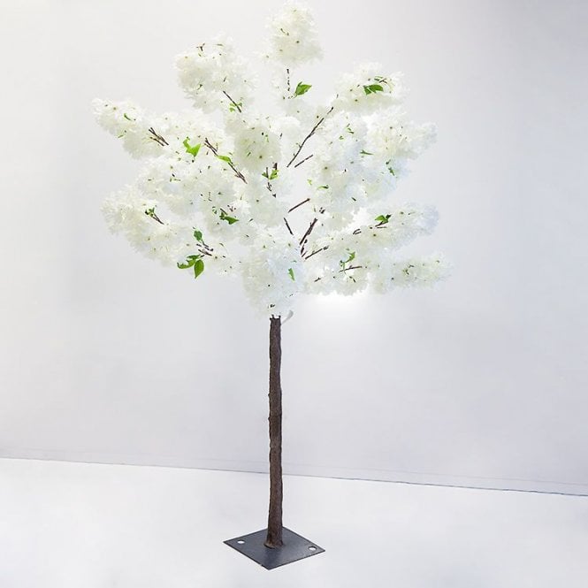 Blossom Tree - Cream