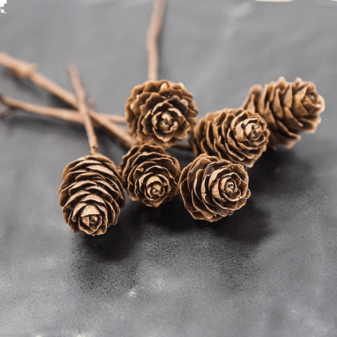 Xmas Cones With Stem 06 Pack