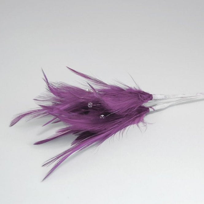 Feathers With Diamantes Aubergine