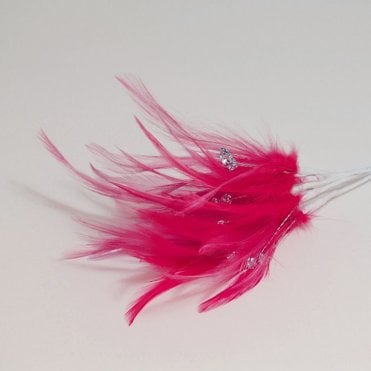 Feathers With Diamantes Fuchsia