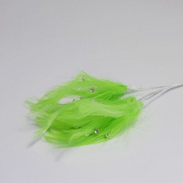 Feathers With Diamantes Lime