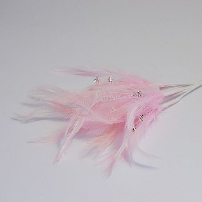 Feathers With Diamantes Pink