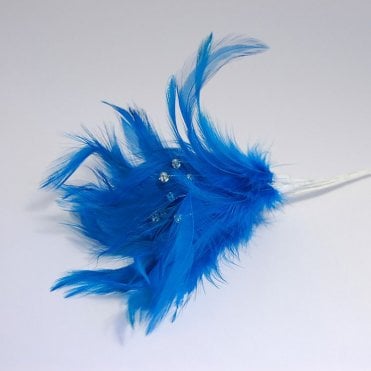 Feathers With Diamantes Royal