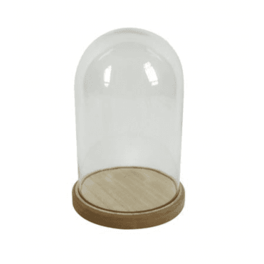 Glass Bell Jar