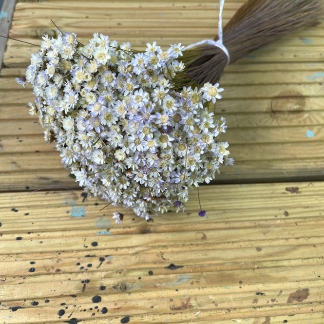 Glixia Dried Bunch Lavender 100G