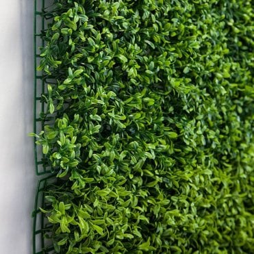 Green Hedge Wall Panel 50cm X 50cm