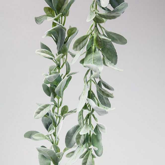 Lambs Ear Garland 188cm