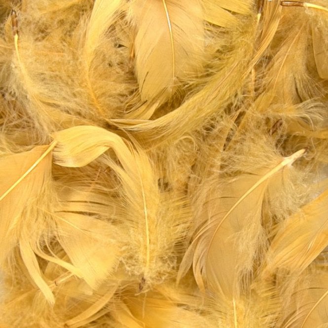 Mixed Feathers Mixed Size 3inch - 5inch 50g Gold