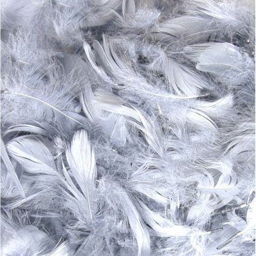 Mixed Feathers Mixed Size 3inch - 5inch 50g Silver
