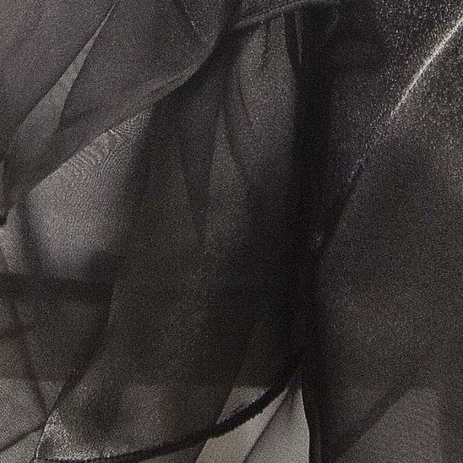Organza Fabric Black