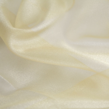 Organza Fabric Champagne