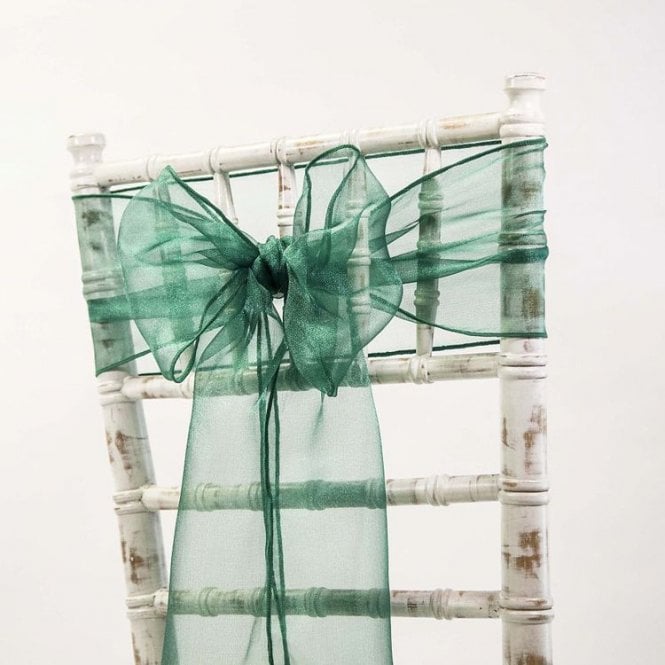 Organza Sash Hunter 20 X 275