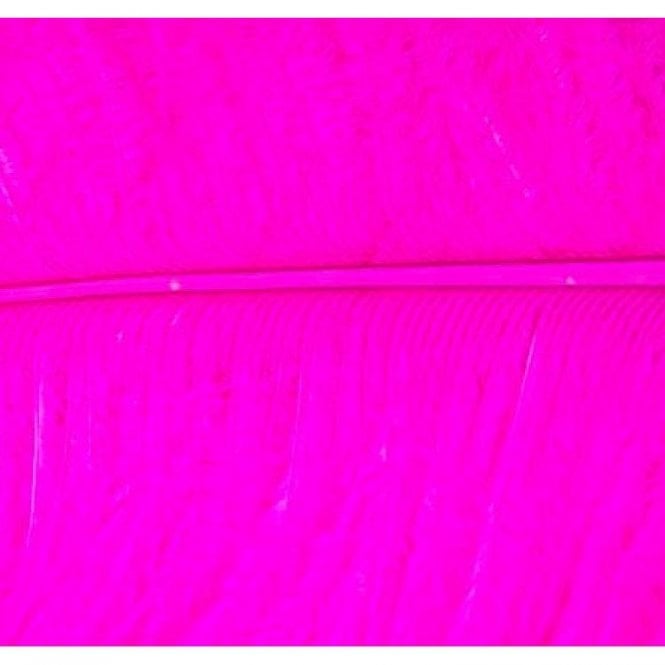 Ostrich Feather Fuchsia