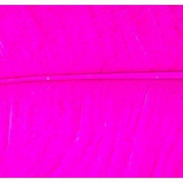 Ostrich Feather Fuchsia
