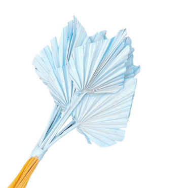 Palm Spears 10pc Light Blue