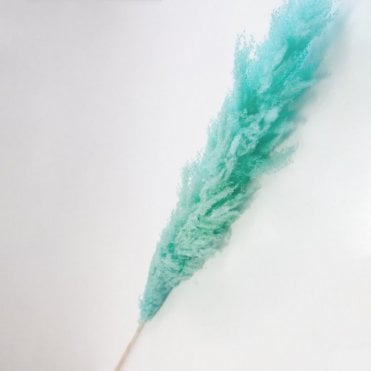 Pampas Grass Stem 140cm Aqua