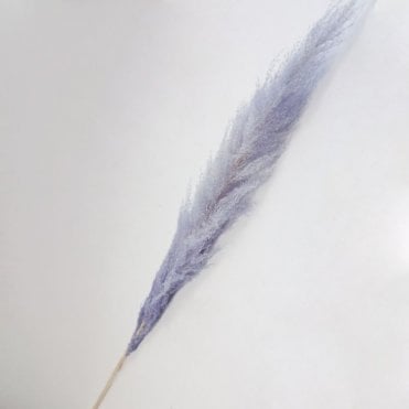 Pampas Grass Stem 140cm Lavender