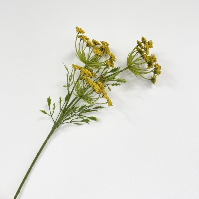 Parsley Yellow Stem