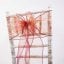 Organza Sash Burgundy/Gold 20 X 275