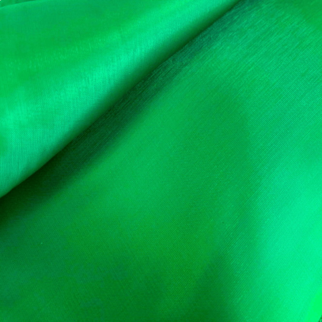 Silk Organza Fabric Hunter