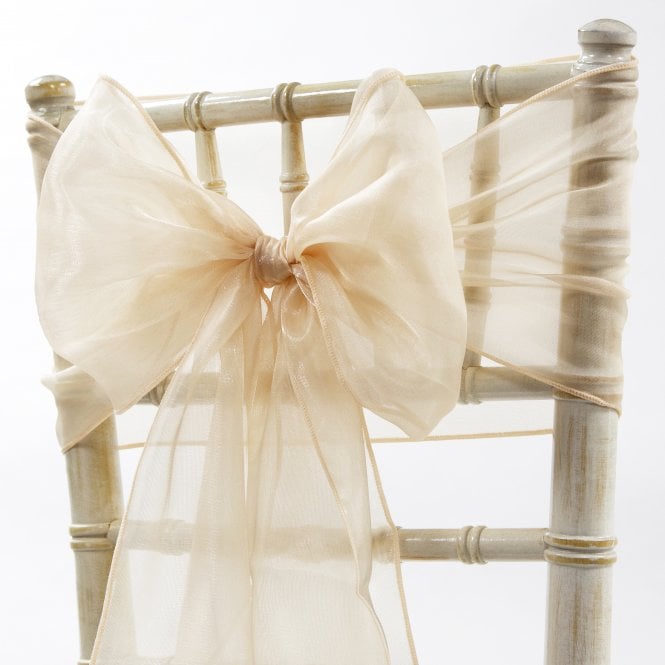 Silk Organza Sash Light Peach