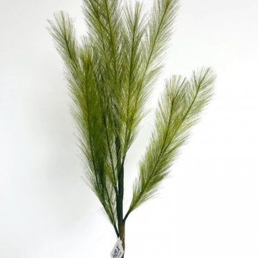 Silk Panicle Stem Grass 72cm Green