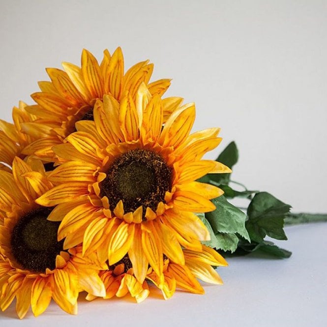 Sunflower Bunch 06 Head Yellow