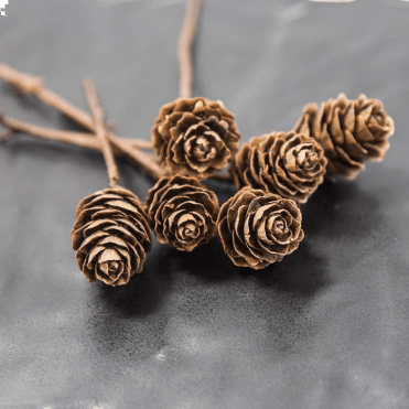 Xmas Cones With Stem 06 Pack